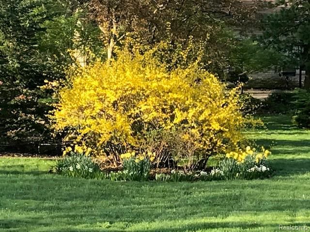 3665 Estates Drive, Troy, MI 48084