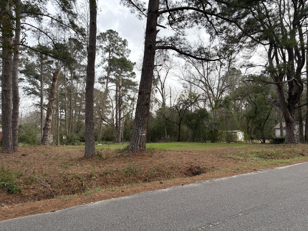 410 Poplar Street, Walterboro, SC 29488