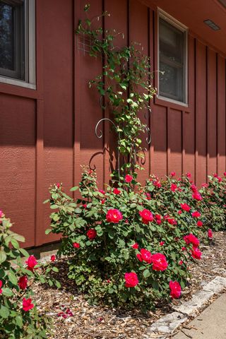 7515 Newton Avenue S, Richfield, MN 55423