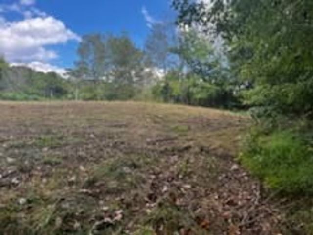 8380 Henley Rd, Baxter, TN 38544