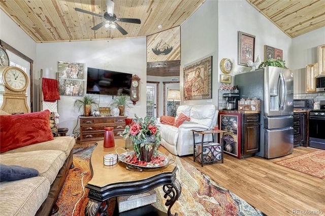 133 Brown Street, Bailey, CO 80421