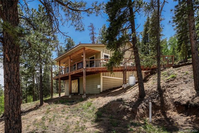 133 Brown Street, Bailey, CO 80421
