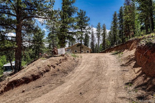133 Brown Street, Bailey, CO 80421