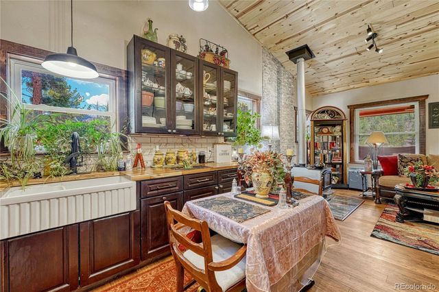 133 Brown Street, Bailey, CO 80421