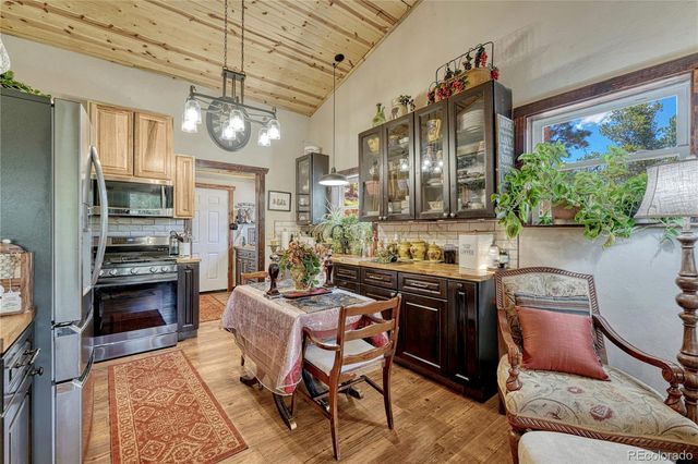 133 Brown Street, Bailey, CO 80421