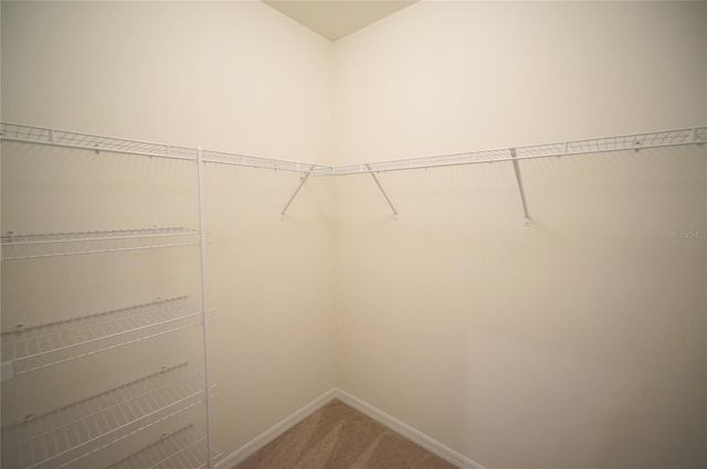 6911 BREEZY PALM DRIVE, Riverview, FL 33578