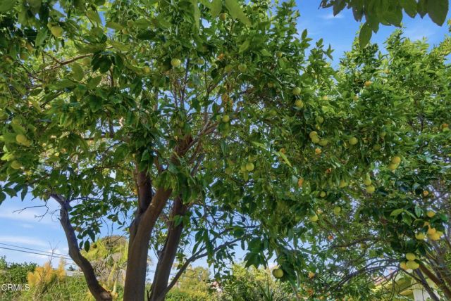 189 Teloma Drive, Ventura, CA 93003