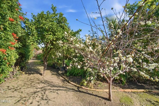 189 Teloma Drive, Ventura, CA 93003