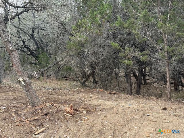1456 Songbird Drive, Canyon Lake, TX 78133