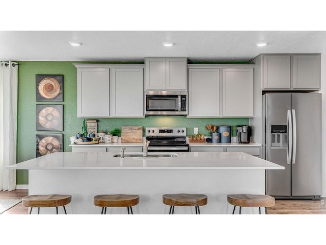 1101 Trilling Dr, Windsor, CO 80550