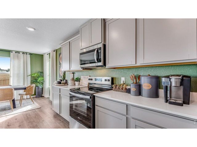 1101 Trilling Dr, Windsor, CO 80550