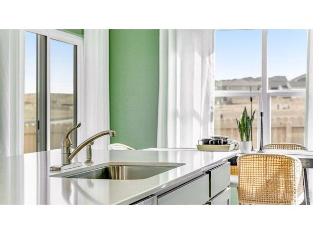 1101 Trilling Dr, Windsor, CO 80550