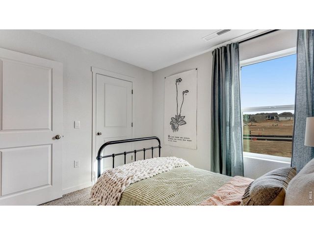 1101 Trilling Dr, Windsor, CO 80550