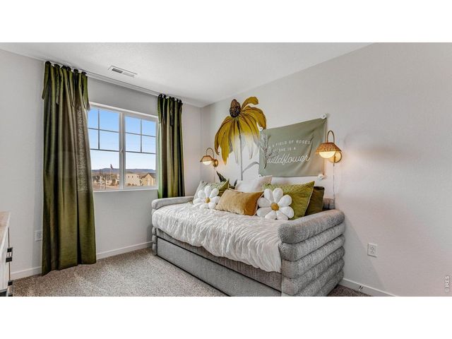 1101 Trilling Dr, Windsor, CO 80550