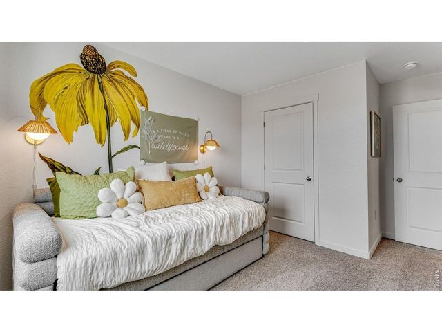 1101 Trilling Dr, Windsor, CO 80550