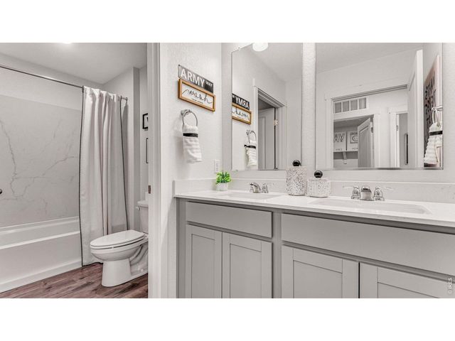1101 Trilling Dr, Windsor, CO 80550