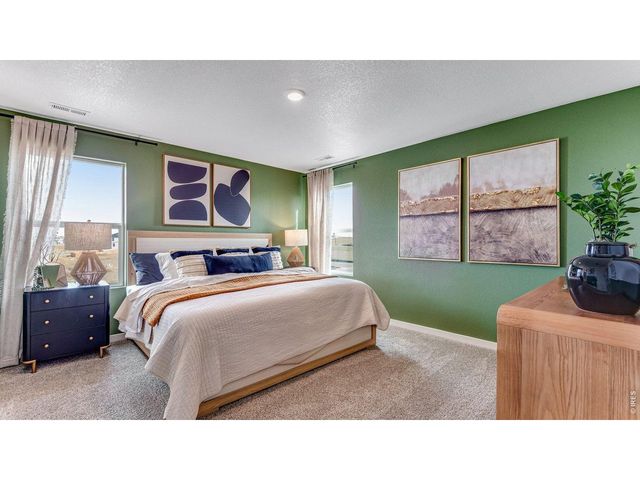 1101 Trilling Dr, Windsor, CO 80550