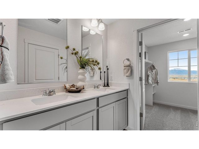 1101 Trilling Dr, Windsor, CO 80550