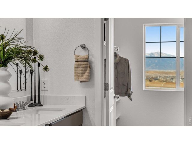 1101 Trilling Dr, Windsor, CO 80550