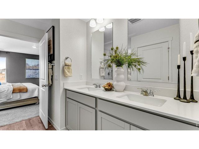 1101 Trilling Dr, Windsor, CO 80550