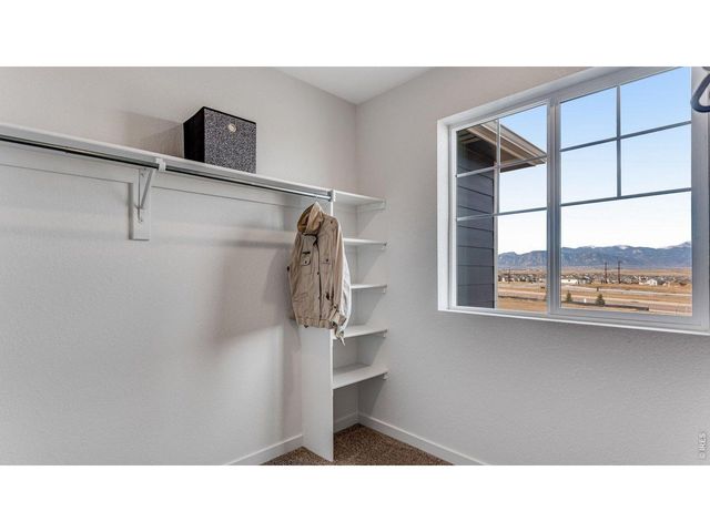 1101 Trilling Dr, Windsor, CO 80550