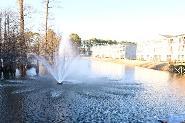 4530 N Plantation Harbour Dr Unit A16, Little River, SC 29566