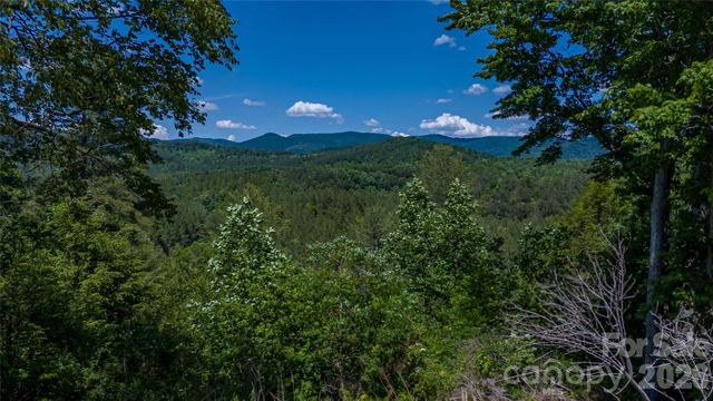 1542 Hwy 226 Highway, Casar, NC 28020