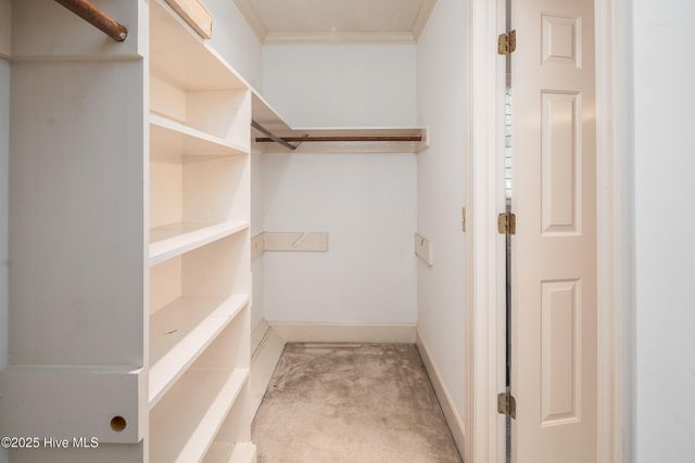 912 Bremerton Drive, Greenville, NC 27858