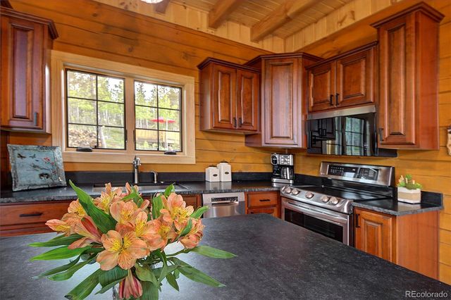 1440 Lodge Pole Drive, Black Hawk, CO 80422