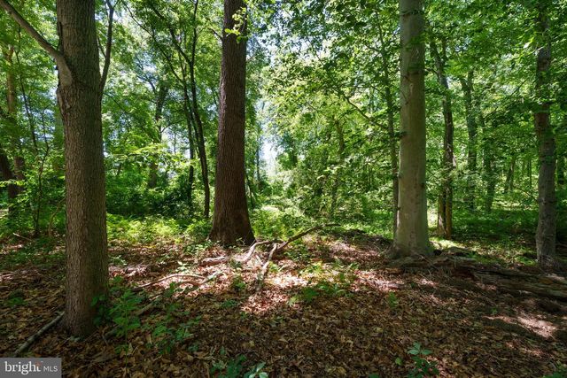 116 RABBIT HILL RD, Princeton Junction, NJ 08550