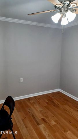 17505 Bridle Drive, Abingdon, VA 24210