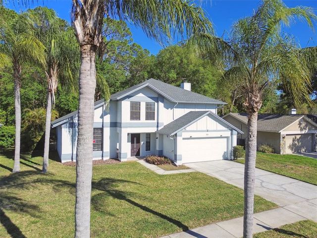 389 WATERFORD CIRCLE W, Tarpon Springs, FL 34688