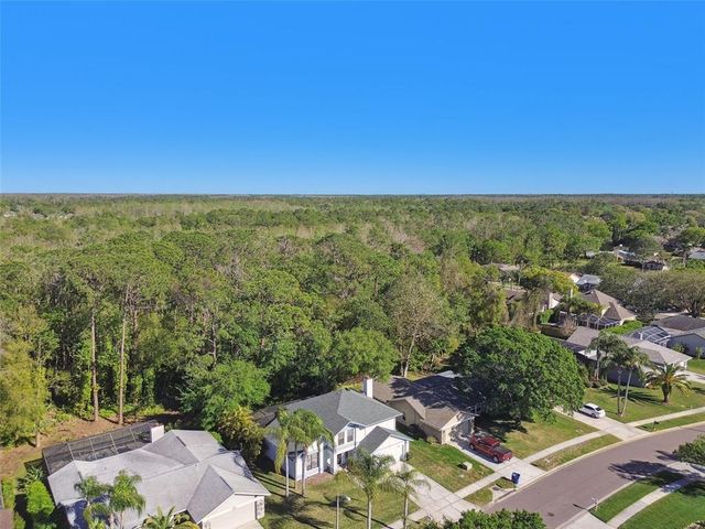389 WATERFORD CIRCLE W, Tarpon Springs, FL 34688