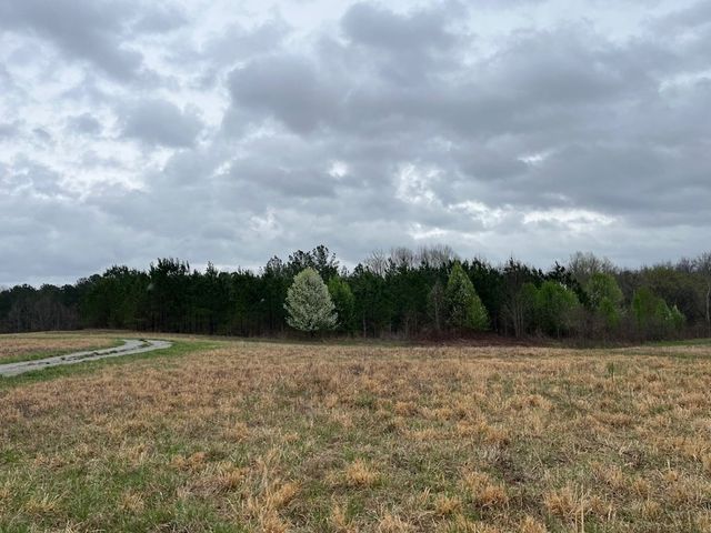 3100 Old McKenzie Hwy, Henry, TN 38231