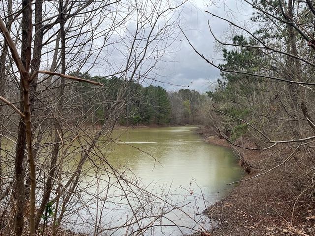 3100 Old McKenzie Hwy, Henry, TN 38231
