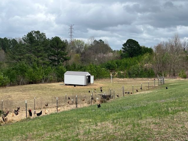 3100 Old McKenzie Hwy, Henry, TN 38231