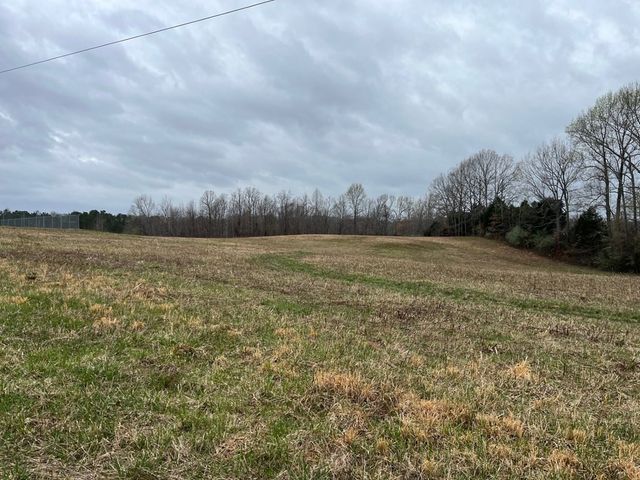 3100 Old McKenzie Hwy, Henry, TN 38231