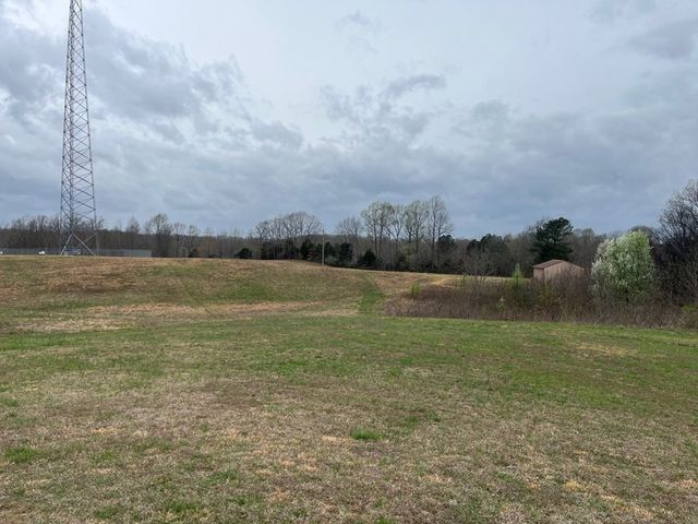 3100 Old McKenzie Hwy, Henry, TN 38231