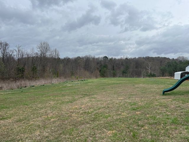 3100 Old McKenzie Hwy, Henry, TN 38231