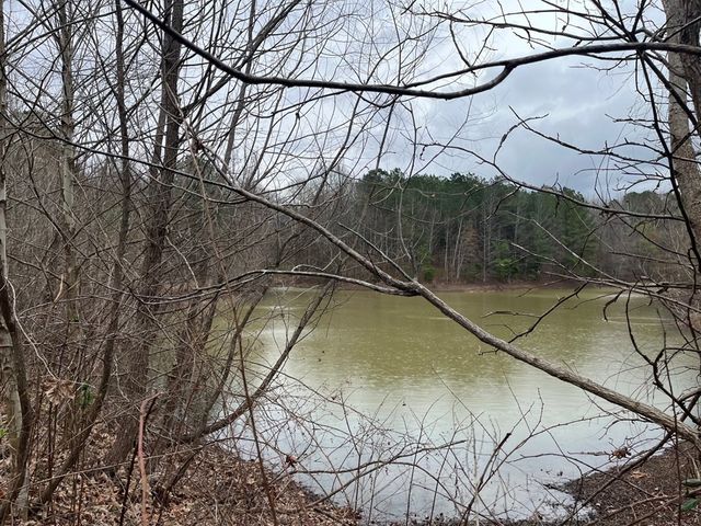3100 Old McKenzie Hwy, Henry, TN 38231