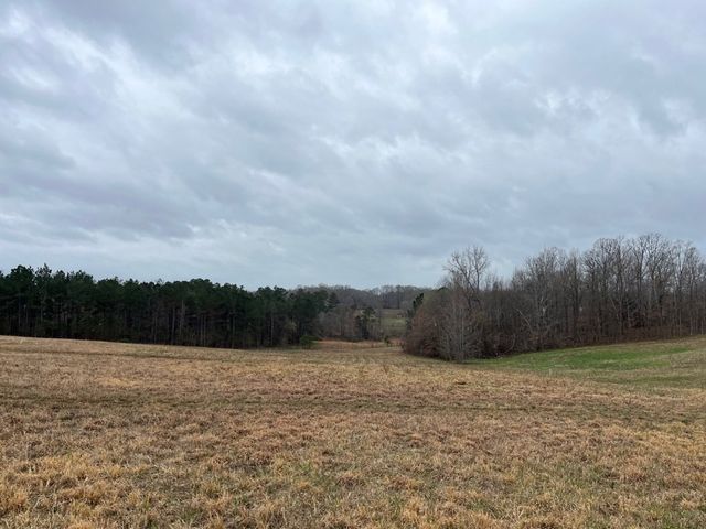 3100 Old McKenzie Hwy, Henry, TN 38231