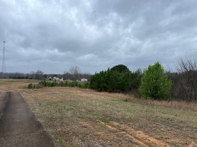 3100 Old McKenzie Hwy, Henry, TN 38231