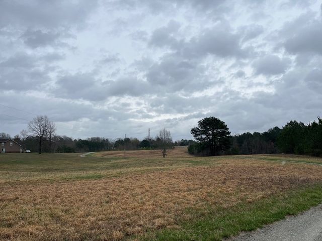3100 Old McKenzie Hwy, Henry, TN 38231