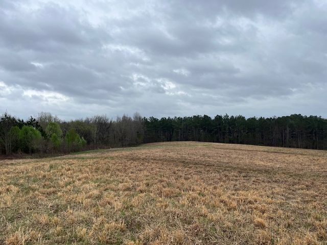 3100 Old McKenzie Hwy, Henry, TN 38231
