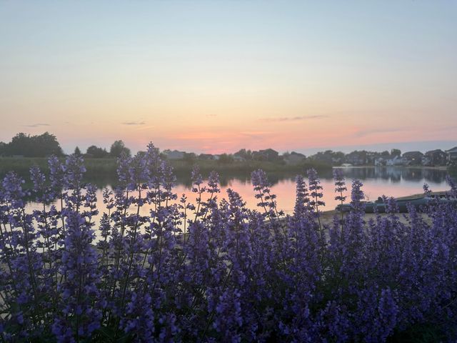 10629 Poppy Lane, Allendale Twp, MI 49401