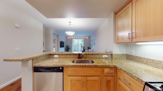 301 Crescent Court 3101, San Francisco, CA 94134