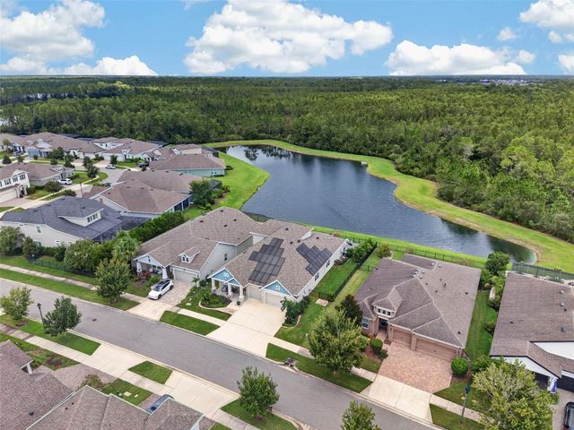4282 AMPED WAY, Land O Lakes, FL 34638