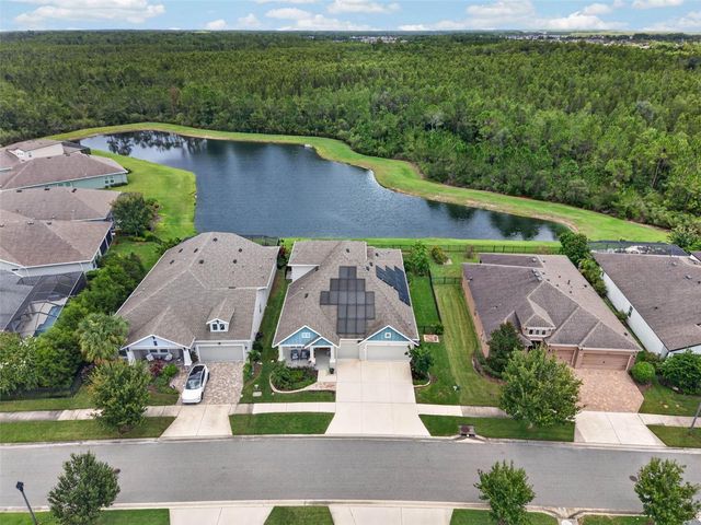 4282 AMPED WAY, Land O Lakes, FL 34638