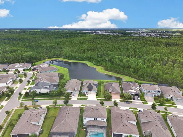 4282 AMPED WAY, Land O Lakes, FL 34638