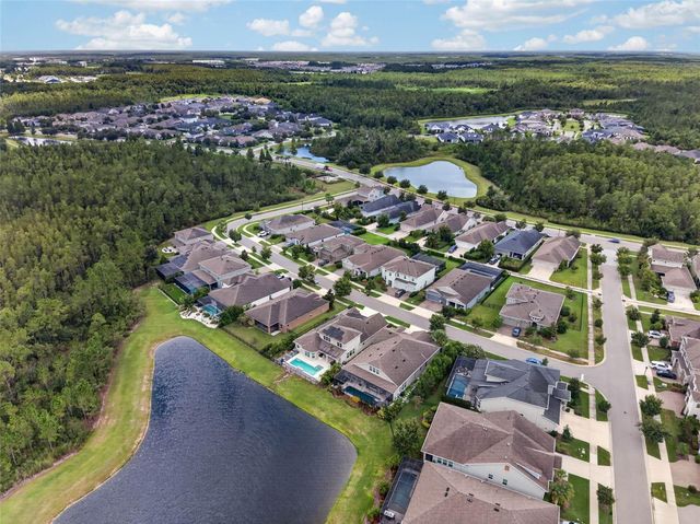 4282 AMPED WAY, Land O Lakes, FL 34638
